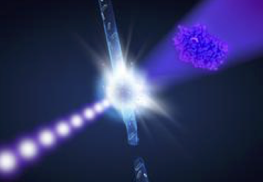 xfel image